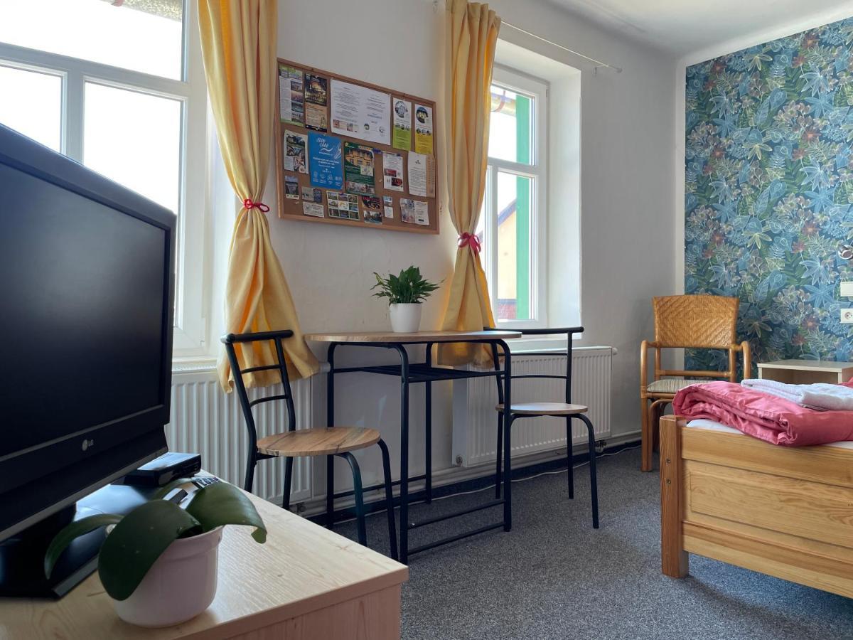 Slunecnice Dvur Kralove nad Labem