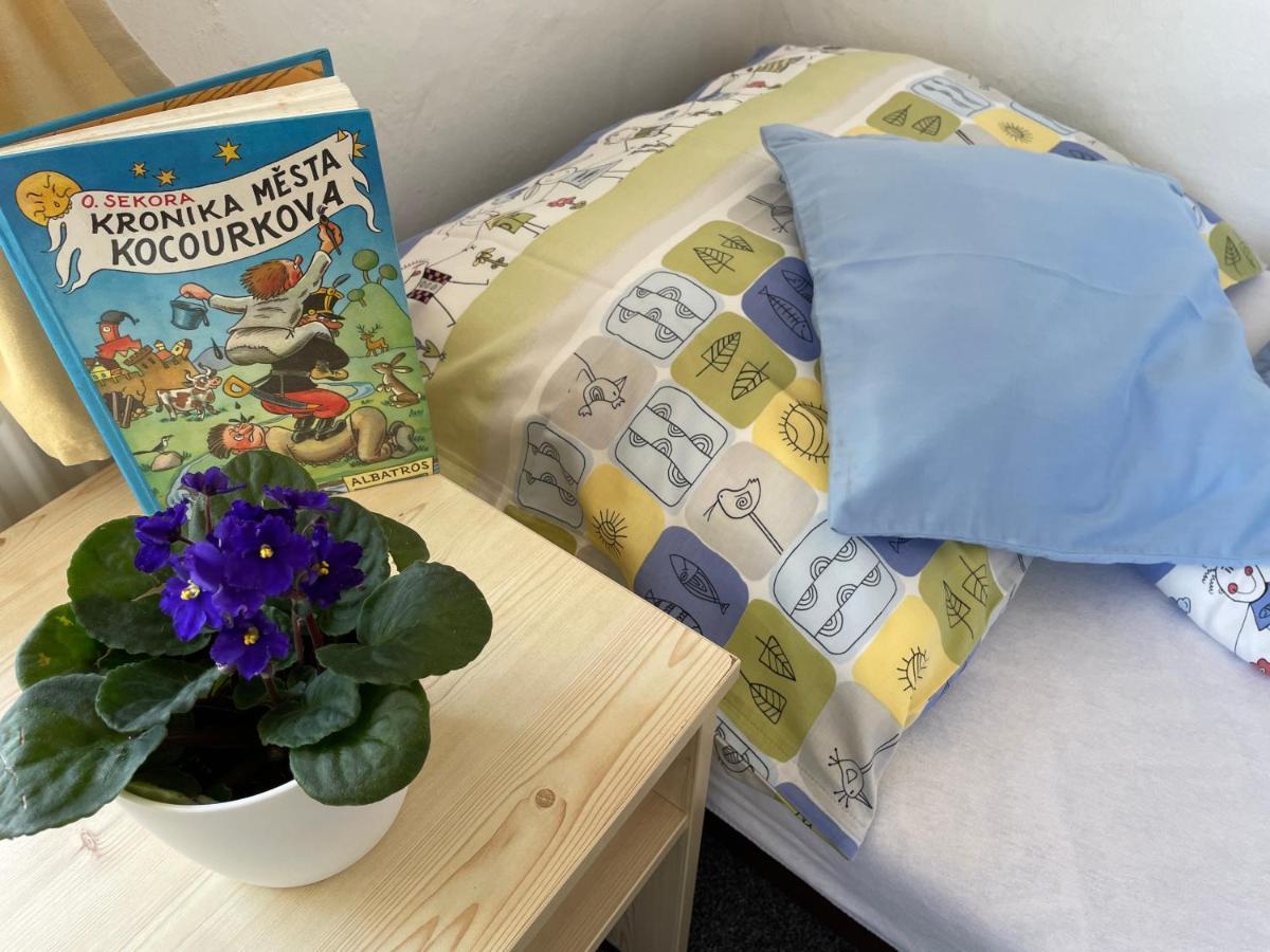 Guest house Slunecnice Dvur Kralove nad Labem
